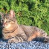 LuckyKater