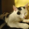 Findus & Balu mit Jenny