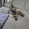 Cathaaa_27