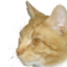 NaddeL