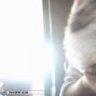 callan_jenny