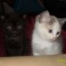 Titus&Matilda