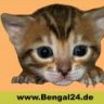 Bengal24.de