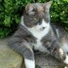 Phoebe2003