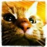 Josefi