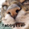 Tabbytier