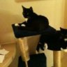 Nero & Cäsar