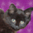 Yosho