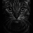 Blackkitty_cat01