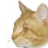 NaddeL