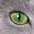 Greeneye