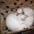 tammy&lilly