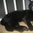 minou86