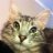 cassy0411
