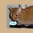 Multicat