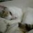 Cassy0906