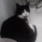 Kater_168