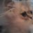 Birgit25