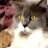 Taschi64
