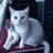 Cherie3