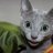 felis_avery